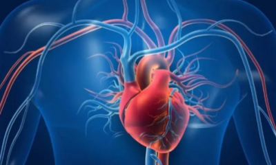 أستاذ في أمراض القلب: أغلب جلطات القلب ليست وراثية كما يعتقد البعض