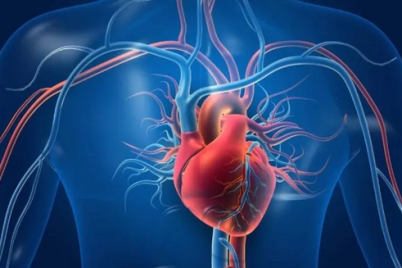 أستاذ في أمراض القلب: أغلب جلطات القلب ليست وراثية كما يعتقد البعض