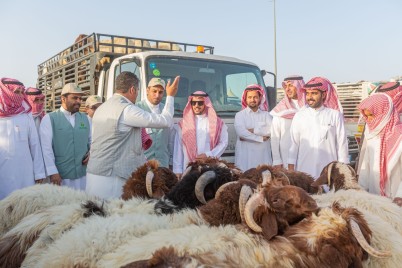 "الرجيعي" يتفقد سير العمل بمهرجان أضحيتي 44 وجاهزية المسالخ