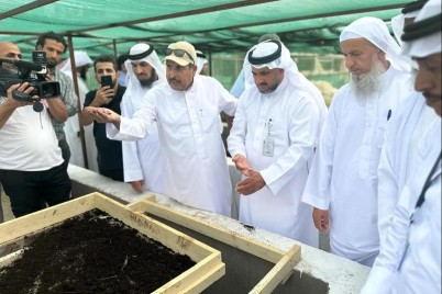 " أهمية الكومبوست ومشتقاته في الزراعة العضوية " .. ورشة عمل في نجران