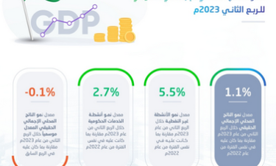 “الإحصاء”: 2.7% معدل نمو أنشطة الخدمات الحكومية خلال الربع الثاني من 2023