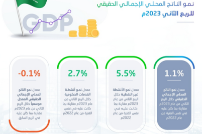 “الإحصاء”: 2.7% معدل نمو أنشطة الخدمات الحكومية خلال الربع الثاني من 2023