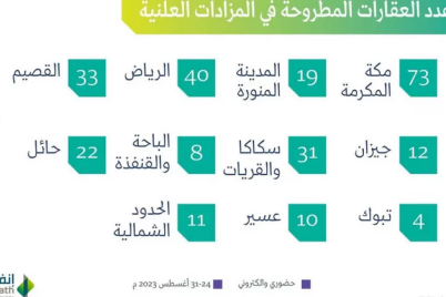 لبيع وتصفية 263 عقارًا.. “إنفاذ” يعلن عن إقامة 23 مزادًا علنيًا