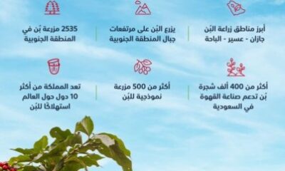 #البيئة : خطة تطوير زراعة البن تستهدف زراعة 1.2 مليون شجرة بحلول 2026م