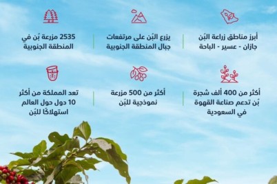 #البيئة : خطة تطوير زراعة البن تستهدف زراعة 1.2 مليون شجرة بحلول 2026م