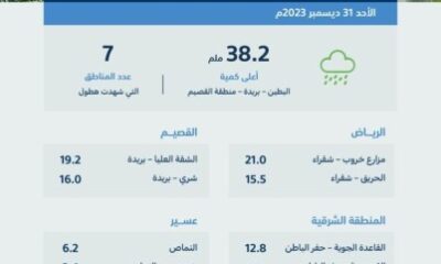 “البيئة”: 93 محطة ترصد هطول أمطار في 7 مناطق والقصيم تسجّل أعلى كميات بـ 38.0 ملم