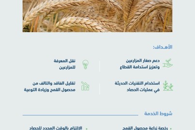 البيئة تطلق خدمة حصاد القمح مجانًا لصغار المزارعين