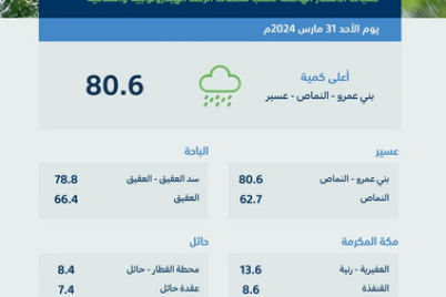 #البيئة : #عسير تسجّل أعلى كمية لهطول الأمطار بـ (80.6) ملم