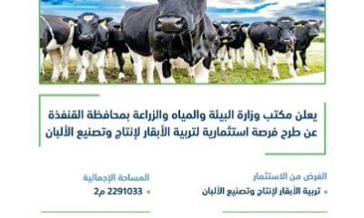 البيئة" تطرح فرصًا استثمارية لتربية الأبقار لإنتاج وتصنيع الألبان في حلي