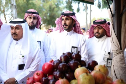 زراعة عسير: تدشن مهرجان الرمان الرابع بسراة عبيدة 