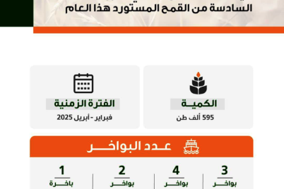 "الأمن الغذائي" تطرح مناقصة لاستيراد (595) ألف طن قمح