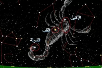 المسند: الشتاء يطرق الأبواب.. وغداً الانقلاب الشتوي وانتهاء فصل الخريف