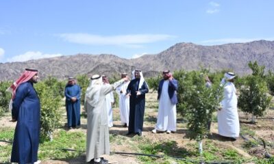 مدير عام فرع وزارة البيئة والمياه والزراعة بالباحة يزور مزرعة المزارع علي سعيد في بيدة