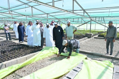 م. مفتاح يتفقد مدينة البن التنموية بمركز معشوقة