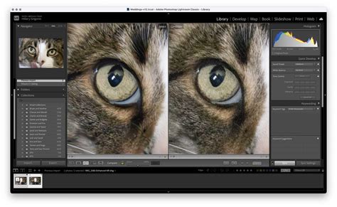 Adobe Lightroom Classic 14.1.1